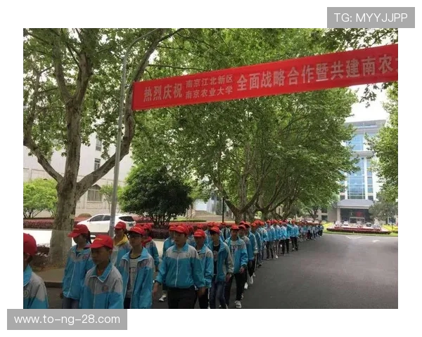 南京乒乓球队的成长历程与辉煌成就全景纪实